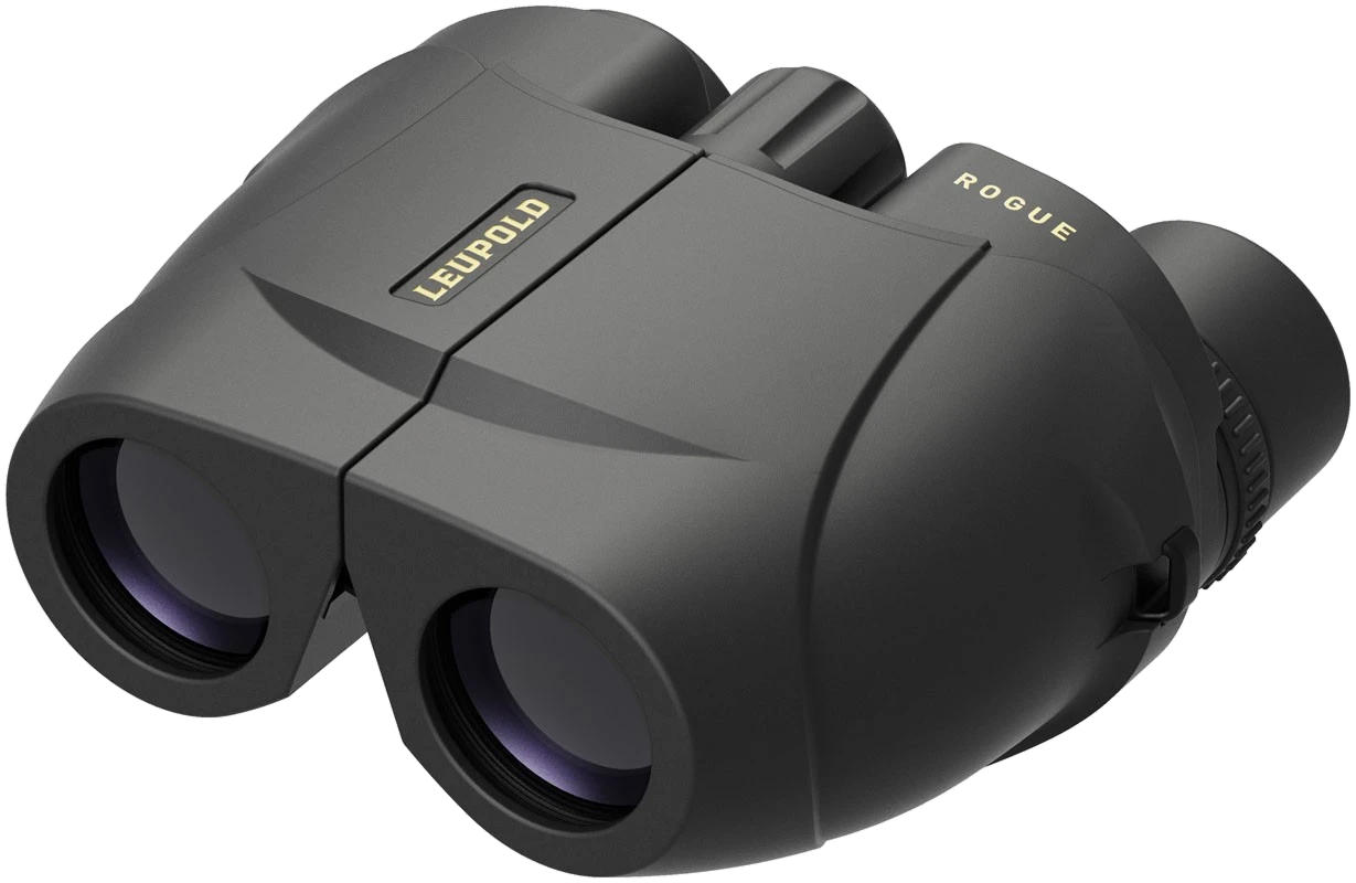 Prismático Leupold BX-1 Rogue Compact - 8x25