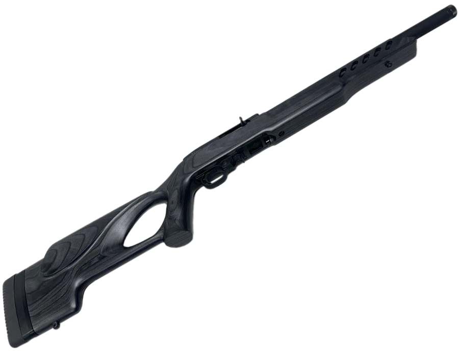Ruger 10/22 Target .22 LR