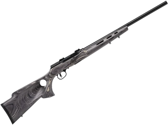 Savage A17 Target Thumbhole 17 HMR