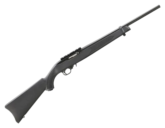 Ruger 10/22